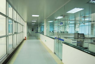 廣州華亞實驗室設備 打造專業實驗室的整體解決方案